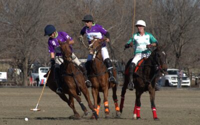 Polo: Imagenes y resultados de la jornada de este viernes 26