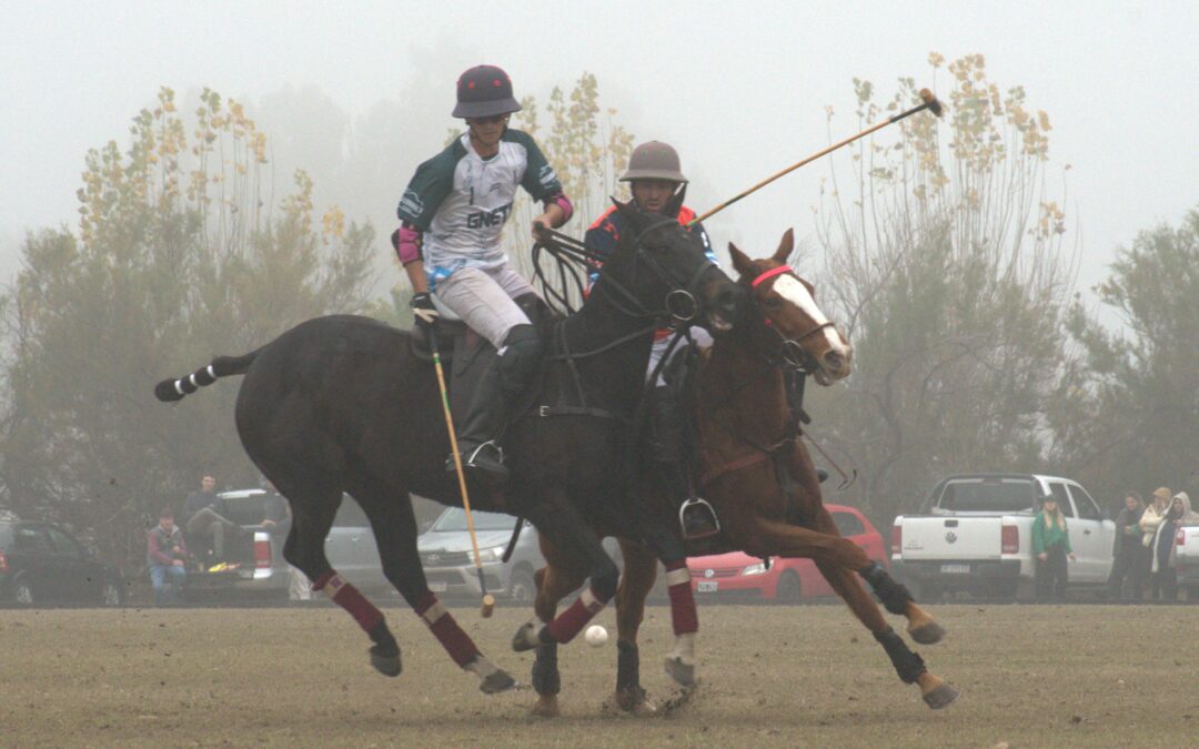 Polo: Del 17 al 20 de junio se juega la Copa Delfor Bouissou. Participaran 12 equipos