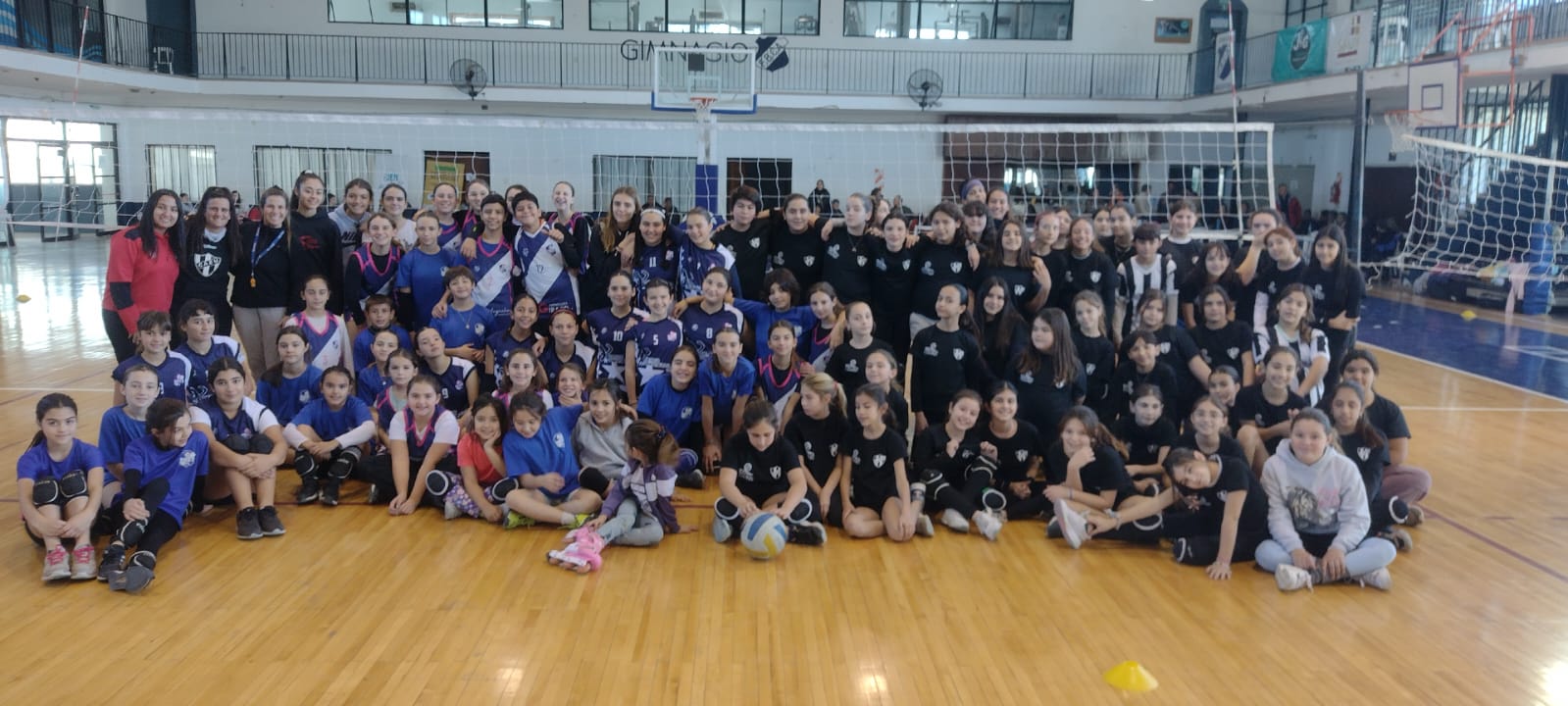voley1206tapa
