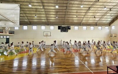 Se desarrollo el fin de semana importante entrenamiento de Karate en Trenque Lauquen