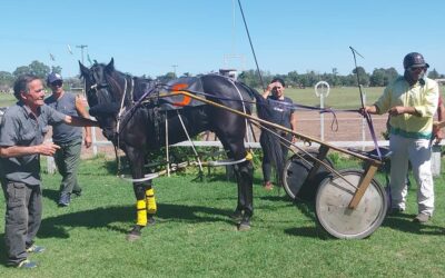 Trote: Gran victoria de Albion Meteoro, de Diego Reyes, en la tercera carrera de este domingo 24