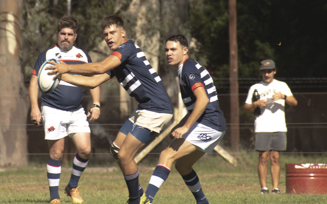 La actividad del próximo fin de semana de las distintas categorías de Rugby del Club Argentino