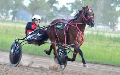 Trote: Albion A. Titan con Guillermo Reyes termino tercero en la 8va carrera de este domingo en Pehuajo