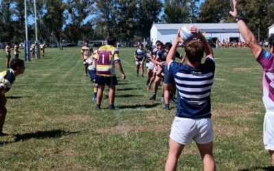 RUGBY: Las categorías del club Argentino recuperan la fecha 2 frente al Club Remo de Azul