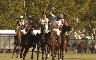 Polo: Los cuartetos de La Fe y Pilot debutaron con victorias en la Copa Hector Barrantes La Fe