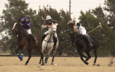 Polo: Segunda jornada de la Copa 25 de Mayo, las zonas se definen en la ultima jornada este miércoles