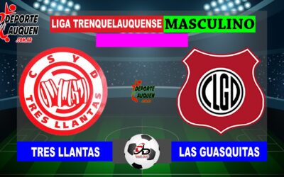 LTF 1° Division – Sintesis: Tres Llantas 0 Las Guasquitas 3