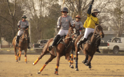 POLO: Torneo Interno en Trenque Lauquen, con cuatro equipos