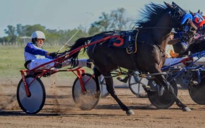 TROTE: Fin de semana con victorias de Albion Euro Bank Off y de Gora M. Nieves, en el hipódromo de Pehuajo