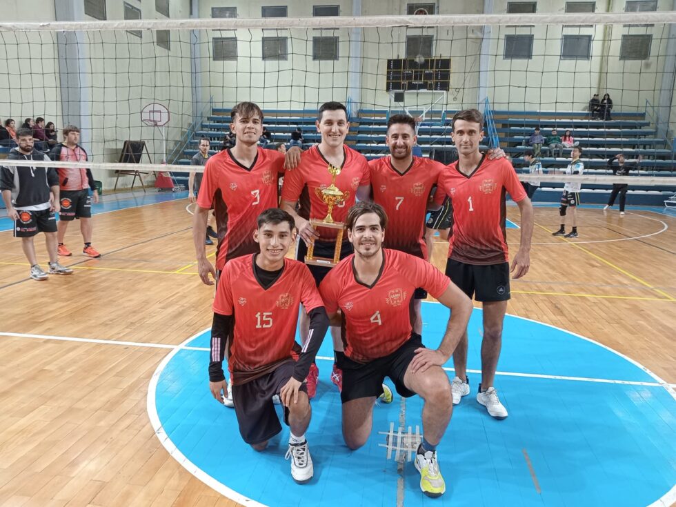 Liga-de-Voley-Masculino-1-980×735