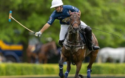 La Asociación argentina de Polo dio a conocer el calendario oficial de la temporada de Primavera en la Argentina