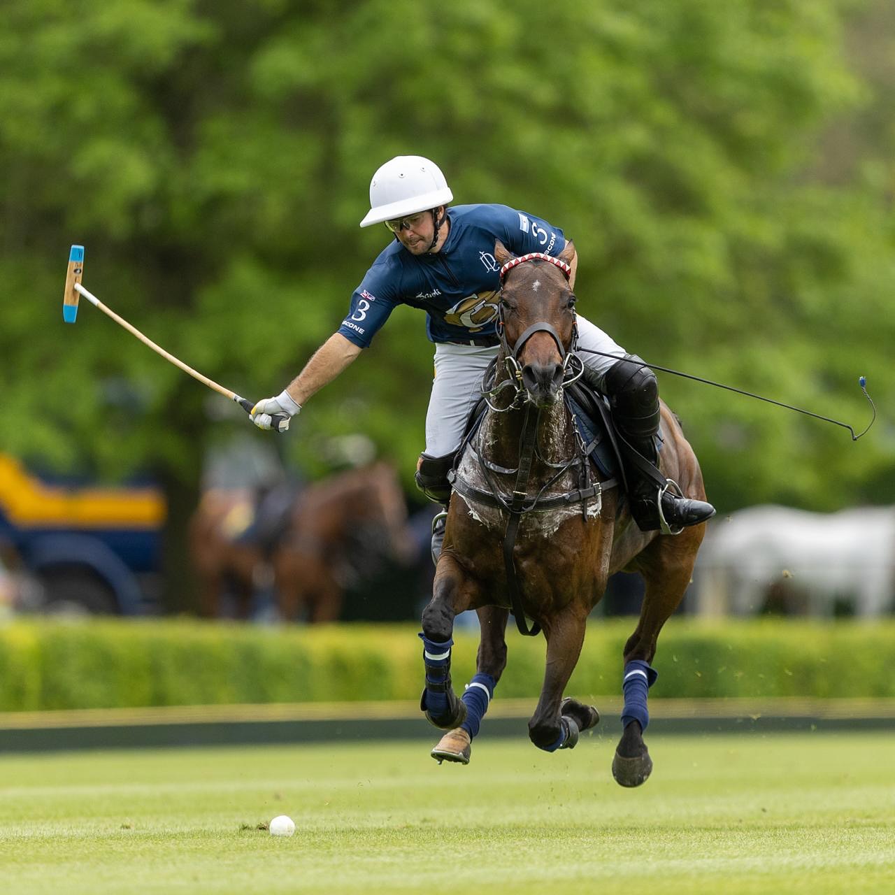 polo337DOLFINA