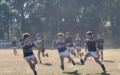 Las actividades de las distintas categorías del FBCA en Rugby para el fin de semana