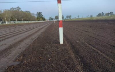 HIPICAS: Gran reunion este próximo domingo 16 de marzo en Carlos Casares, con presencias trenquelauquenses