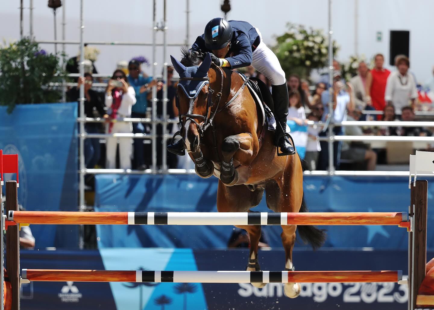 CABALLOlarrocaB