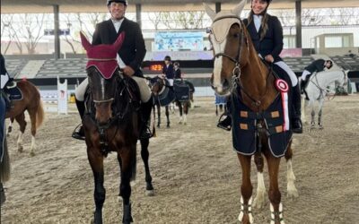 Concurso Único de Saltos Hipicos 2024: “LA DOLFINA JUMPING” Un Despliegue de Talento y Pasión