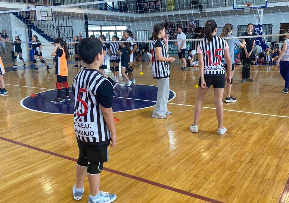 Se realizó encuentro de Mini Voley en FBC Argentino