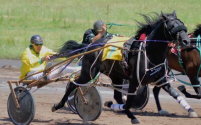 TROTE: Albión Meteoro Official con driver Diego A. Reyes, gano la cuarta carrera del programa del domingo 16 en Pehuajó