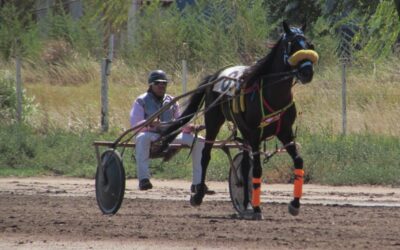 TROTE: Albión Euro Bank Official sumo otra victoria a su campaña, esta vez en primera categoría en Chivilcoy