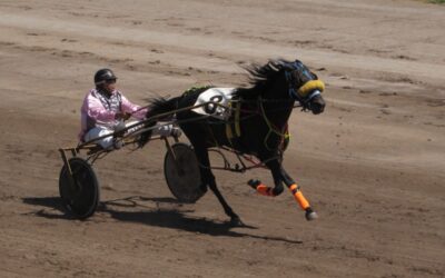 TROTE: Victorias de Gora Mel Martina y Chucaro Look Blason, con Brian Islas, en la reunión de Pehuajo