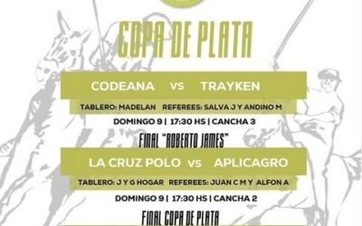 Polo en Trenque Lauquen – Hoy, domingo, se juegan la finales de la Copa de Plata
