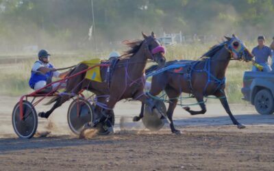 Trote: El ejemplar Albión Alltar Odessa del stud Sofía Emilia, gano prueba extraordinaria en Pehuajo