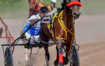 TROTE: Albión Aruna Official sigue de racha en Pehuajó y segundo puesto de Gora Mel Nieves en 1ra categoría
