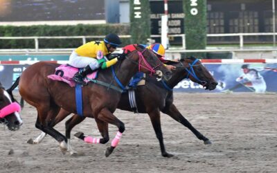 Hipica: Gran reunión regional para este domingo 11 en Carlos Casares