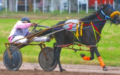 Trote: Doble jornada Copa Julio Rodríguez en Pehuajo, el sábado clasificación y la final el día domingo