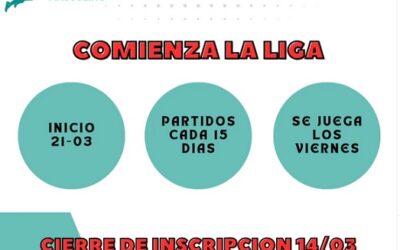 El 31 de Marzo comienza la Liga de Voley Masculina