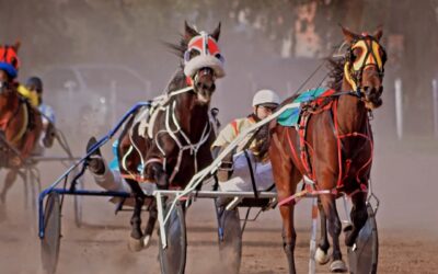 TROTE: Se viene doble espectacular cita en el Hipódromo de Pehuajo, se disputará la Copa Julio Rodríguez