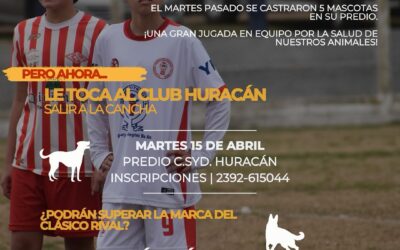 UN EJEMPLO: Los clubes de Pellegrini en jornadas de castración comunitariacon el quirófano móvil municipal