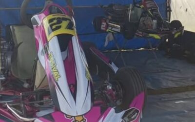 Karting: El automovilismo argentino esta enfermo, esta coviteado por los  malos dirigentes