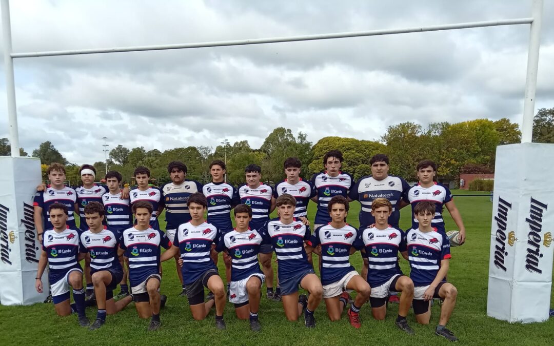 Rugby – Juveniles de FBC Argentino jugaron en Azul