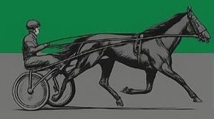 TROTE: Habrá reunión regional este viernes 10 (feriado) en el hipódromo de Pehuajo, la programación
