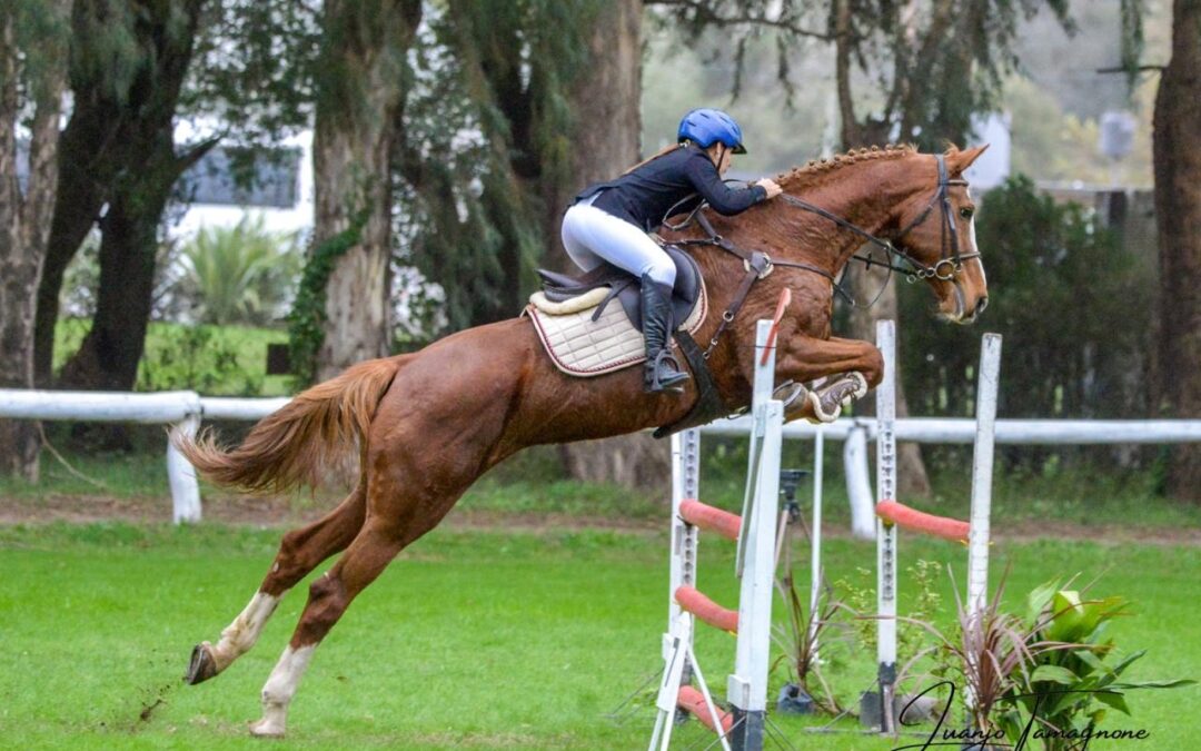 Equitación: Concurso en el Club Hípico Maracó de la Ciudad de Gral. Pico – La Pampa