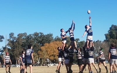 Rugby: Las Panteras ganaron en Los Toldos y las categorìas Juveniles fueron locales