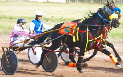 TROTE: Tercera victoria en el año para el ejemplar Albión Euro Bank Official en el hipódromo de Péhuajo