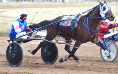Trote: Albion Tenor Official, debutó con un triunfo en el Clásico Iniciación en el hipódromo de Pehuajo