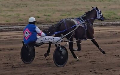 TROTE: Se viene otra doble reunión, esta ves sera el fin de semana 11 y 12 de abril en el hipódromo de Lincoln