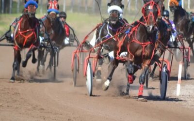 TROTE: Se viene evento «Selección» en el hipódromo de Pehuajo y habrá actividad durante sábado 23 y domingo 24