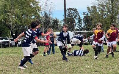 Rugby: Derrotas del decano por el Super 8 y el pasado sábado hubo encuentro zonal infantil en Argentino