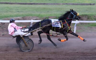 TROTE: En Lincoln, victoria de Albión Tackle Official y ekl ejemplar Euro Bank disputó el clásico del Carnaval