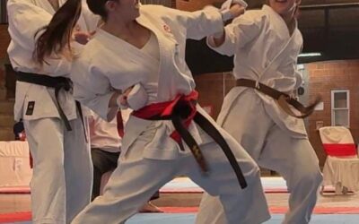Karate: Títulos y destacadas actuaciones locales en el torneo Cono Sur realizado en Posadas, Misiones