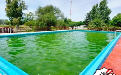 La pileta del club Atlético Trenque Lauquen inauguró su temporada de verano 2026