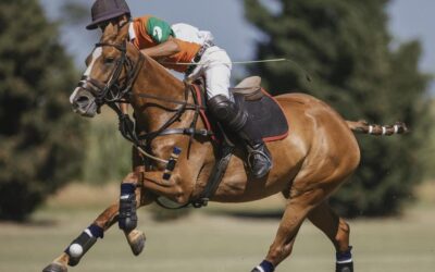 POLO: Se disputó la copa «El Regreso» en el predio de la Zanja