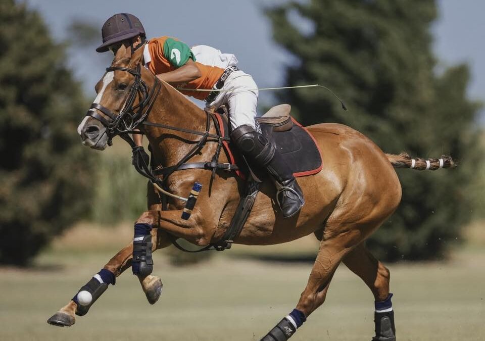 POLO: Se disputó la copa «El Regreso» en el predio de la Zanja