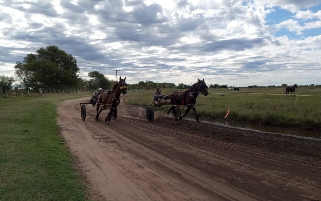 TROTE: La doble programación postergada el pasado fin de semana, copa Julio Rodríguez paso para el 4 y 5 de abril