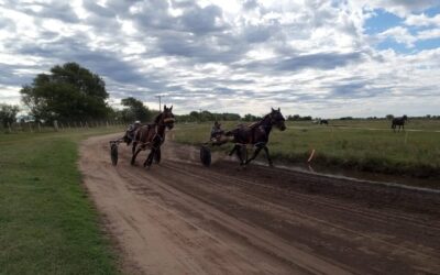 TROTE: La doble programación postergada el pasado fin de semana, copa Julio Rodríguez paso para el 4 y 5 de abril