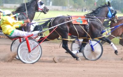 Trote: Soule con Estilos y Diego Reyes con Solemn lograron victorias el sábado en el hipódromo de Pehuajó